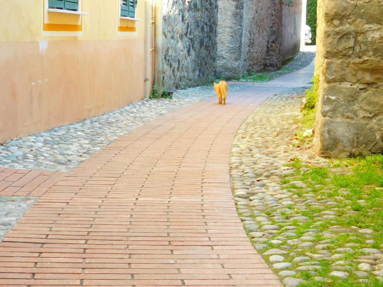 Bellissima Casa Nel Centro Storico!!! Apartment Levanto Ngoại thất bức ảnh